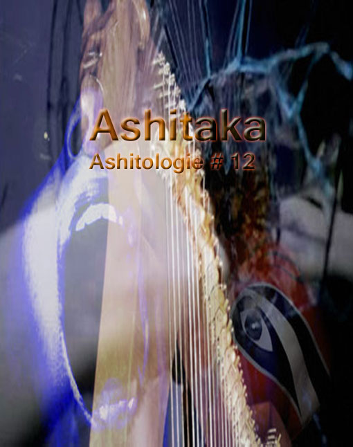 Ashitologie #11