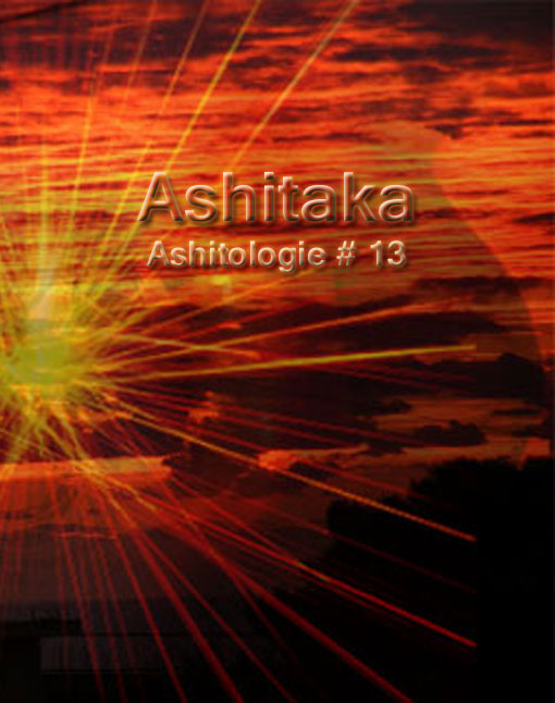 Ashitologie #10